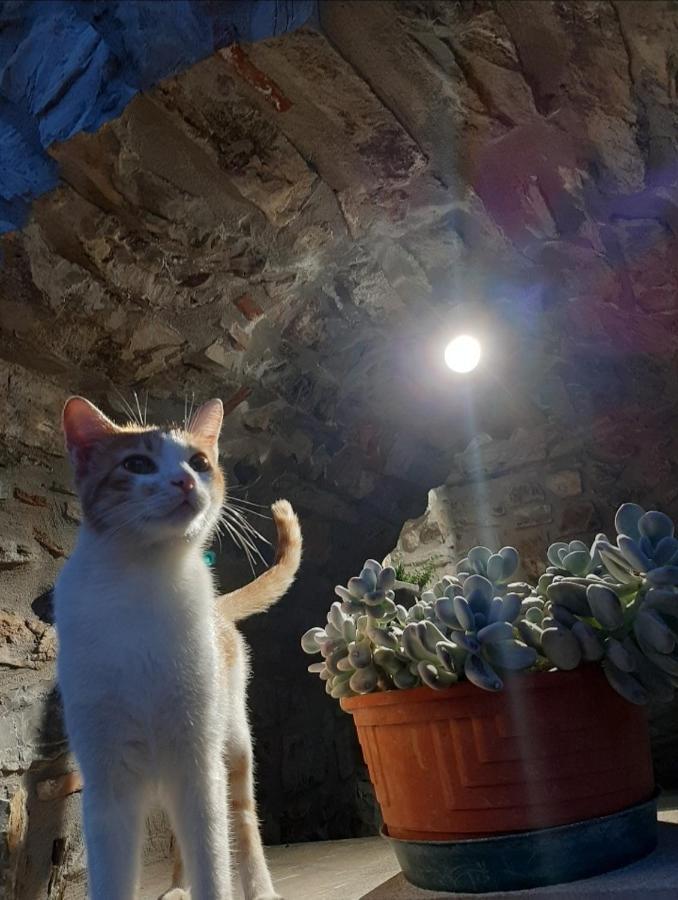 Tenuta Il Giardino Di Eros 알바넬라 외부 사진